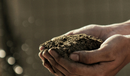 an image of dirt in one's hand