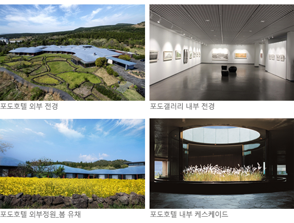 왼쪽 위 첫번째 부터 시계방향으로 포도호텔 외부 전경, 포도갤러리 내부 전경, 포도호텔 내부 케스케이드, 포도호텔 외부정원_봄 유채 사진